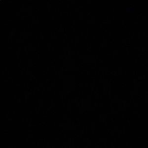 Meet your Posher, Jaylin